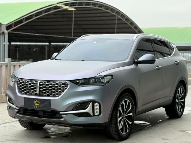 Wei brand VV6 2021 2.0T two-wheel drive smart travel+
