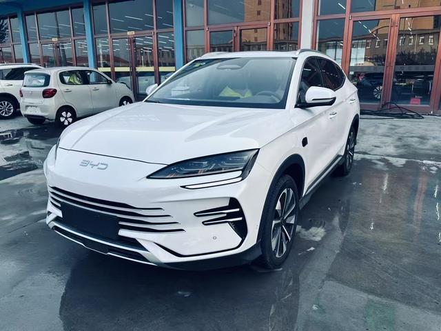 Song PLUS DM 2025 Smart Driving Version DM-i 112KM Premium Type