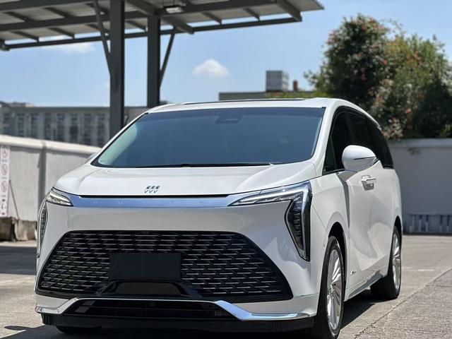 Century 2023 2.0T Six-Seat Embracing World Edition