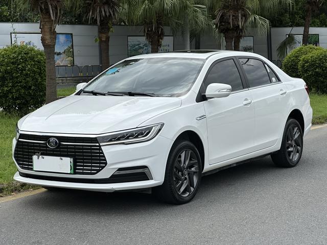 Qin EV 2020 High Range Premium Model