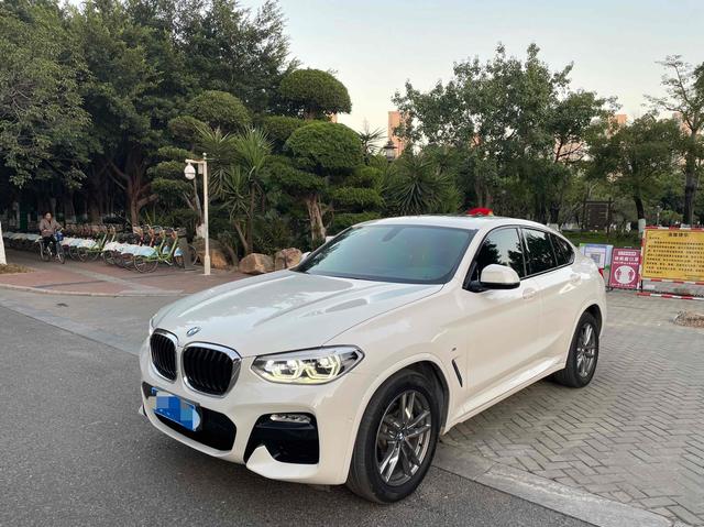 BMW X4 2019 xDrive25i M Sport Package