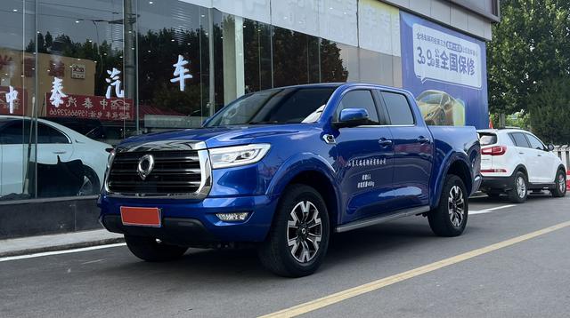 Cannon 2019 Passenger Edition 2.0T Gasoline Auto 4WD Comfort Standard Box GW4C20B