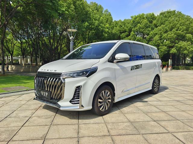 Chase G20 2023 PLUS 2.0T Gasoline Automatic Executive Edition