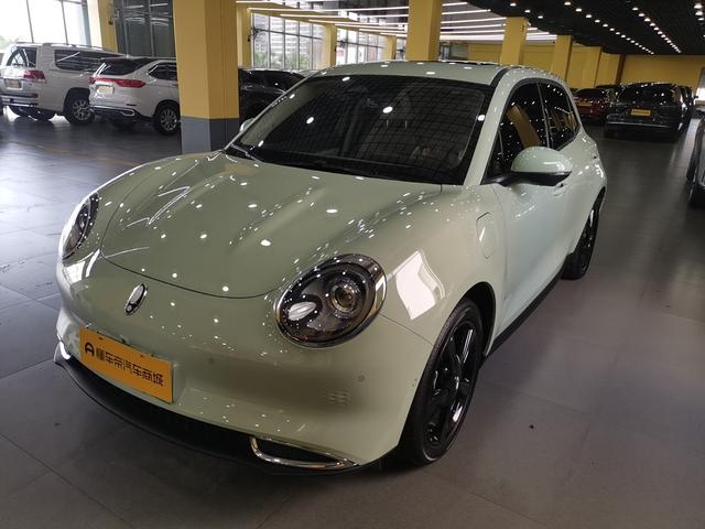 Euler Good Cat 2024 Model 501km Honor Type