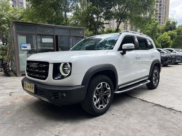 Havoc Big Dog 2022 2.0T 4WD Roaring Dog Edition