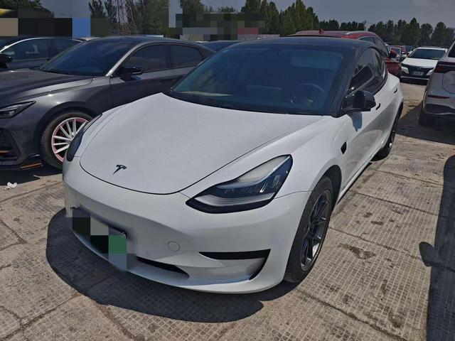 Model 3 (Import) 2019 Standard Range Rear Drive Upgrade
