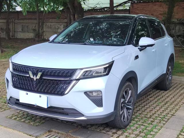 Wuling Xingchen 2022 Model 2.0L DHT Electric Speed Model