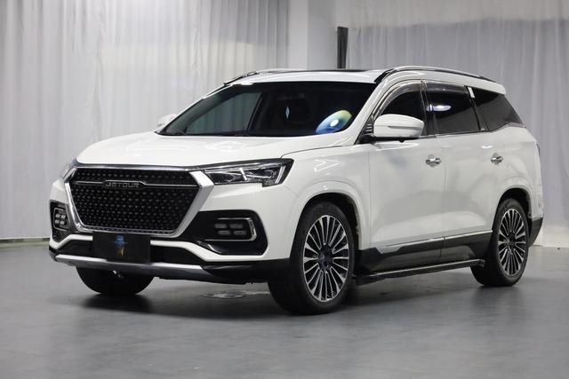 Jietu X95 2019 1.6T DCT Discovery Pro Version 6 seats