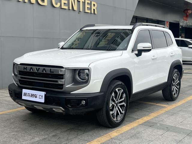 Havoc Big Dog 2024 1.5T 2WD Border Ranch Edition