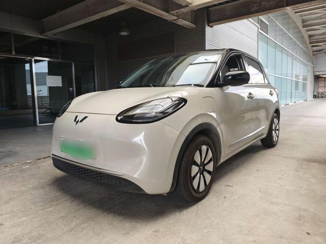 Wuling Colorado 2023 333KM Master Mind Connection Model