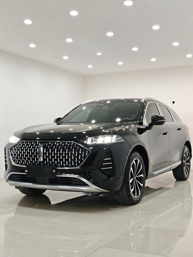Mocha 2021 2.0T two-wheel drive special alcohol version