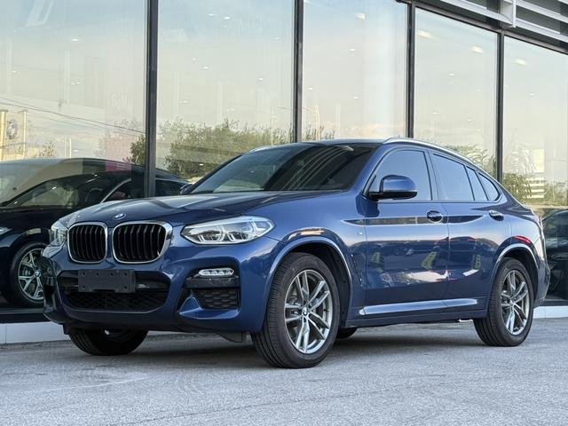 BMW X4 2019 xDrive25i M Sport Package