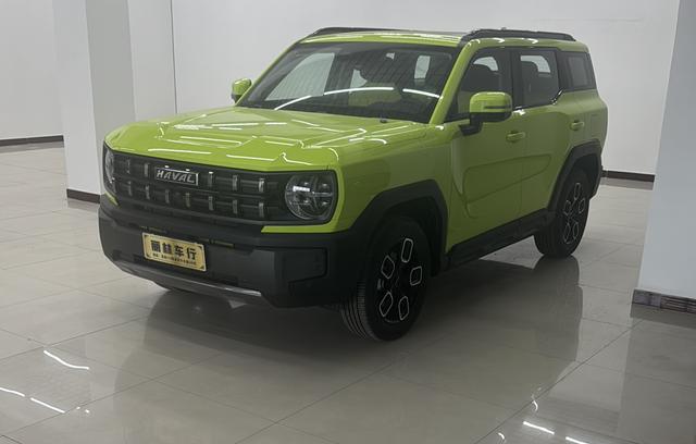 Havoc Cool Dog 2022 1.5T Tide Wild Edition