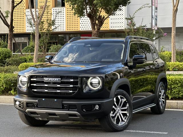 Havoc Big Dog 2022 1.5T 2WD Border Ranch Edition