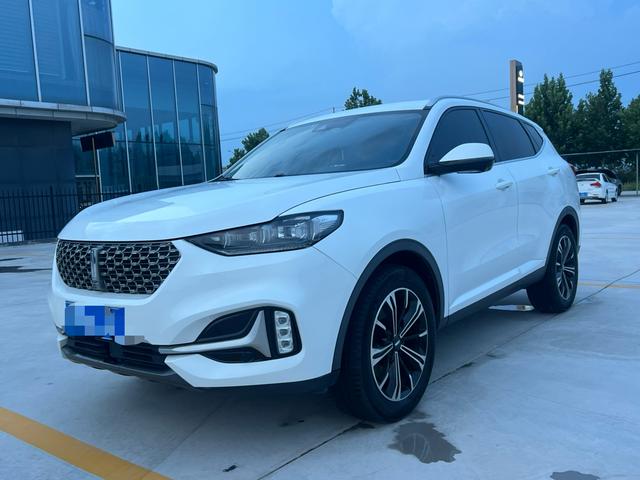 Wei brand VV6 2021 2.0T two-wheel drive smart travel+
