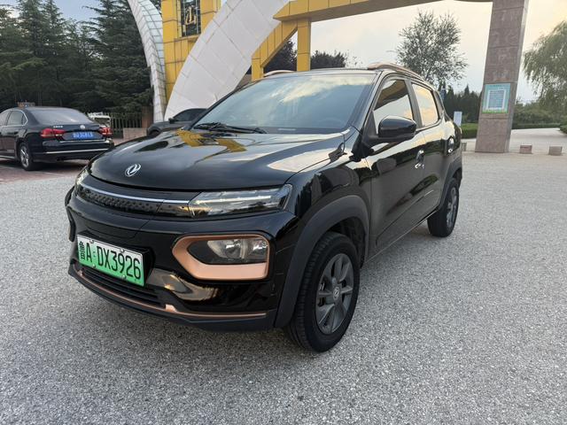 Dongfeng Nano EX1 2022 PRO Tiger Yao Edition Luxury