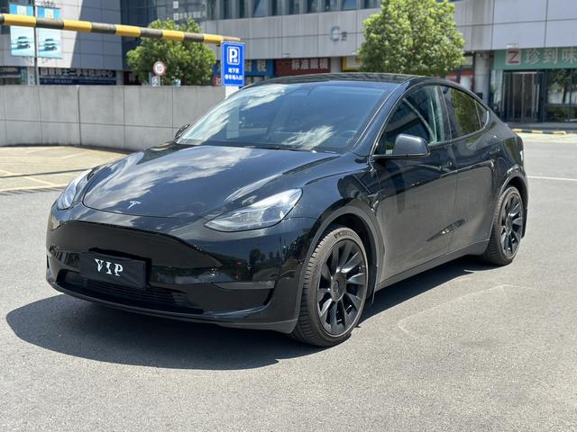 Model Y 2021 Standard Range Rear-Wheel Drive