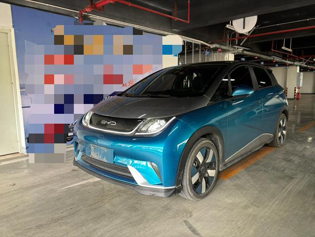 Dolphin 2021 Cavalier