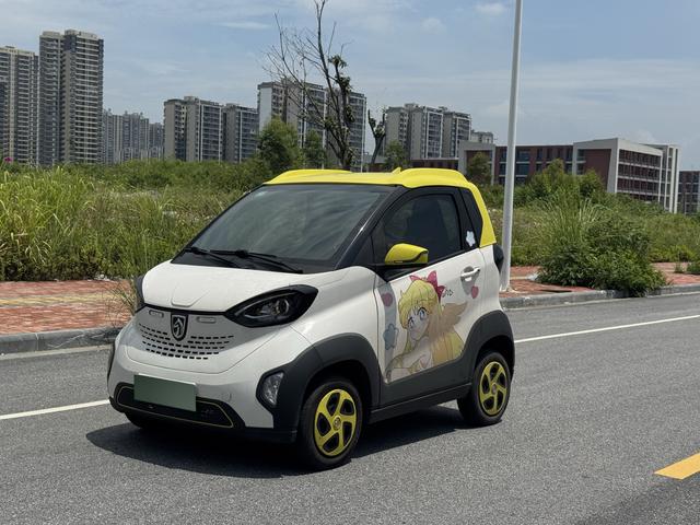 Baojun E100 2019 250KM Smart Edition