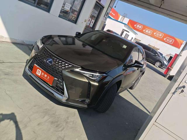 Lexus UX EV 2020 300e Pure-Enjoyment