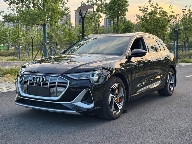 Audi e-tron 2021 50 quattro Pegasus