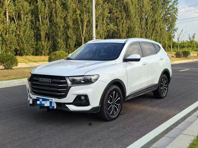 Haval H6 2021 National Tide Edition 1.5T Auto City Edition