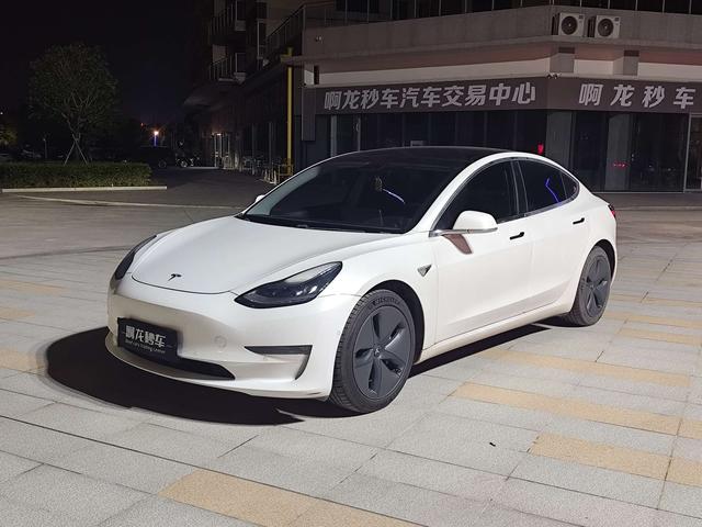 Model 3 2020 Modified Long Range Rear Wheel Drive Edition