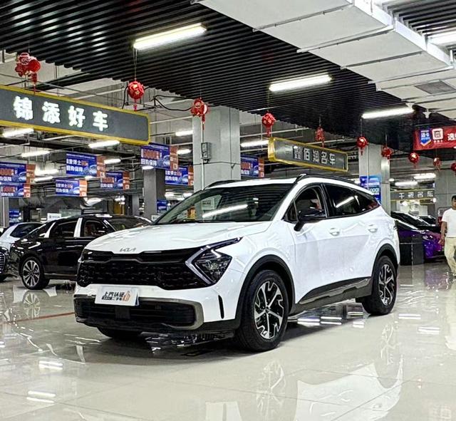 Lion Platinum Tuojie 2023 1.5T Two-wheel drive Premium Edition