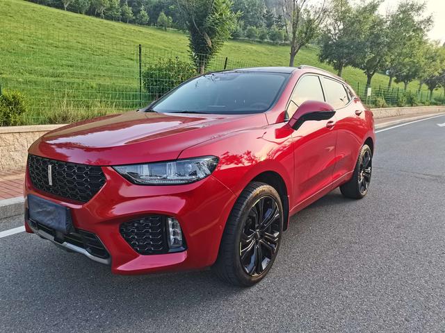 Wei brand VV5 2017 2.0T Super Luxury type