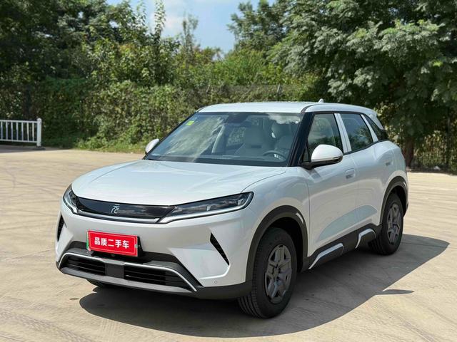 Yuan UP 2025 model 301KM pilot type