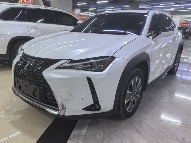 Lexus UX EV 2020 300e Pure-Joy