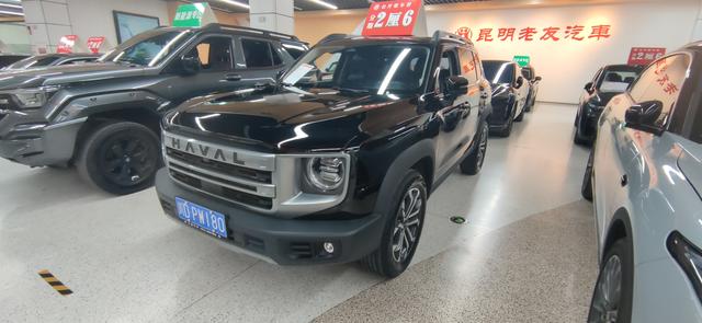 Havoc Big Dog 2022 1.5T 2WD HorseDog Pursuit Edition
