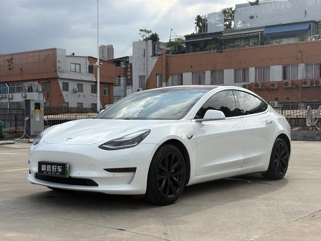 Model 3 (Import) 2019 Long Range Rear Drive Edition