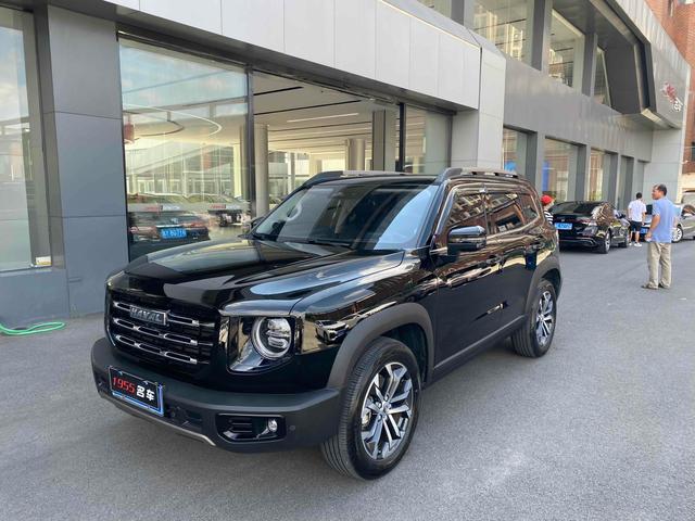 Havoc Big Dog 2022 1.5T 2WD Border Ranch Edition