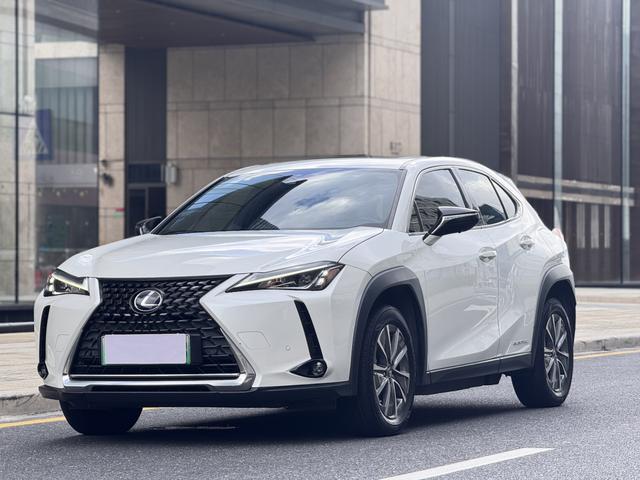 Lexus UX EV 2020 300e Pure-Joy