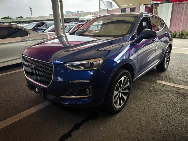Haval F5 2019 National Tide Edition 1.5T i Tide National VI