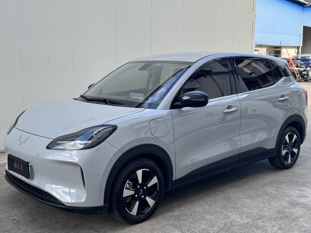 Wuling Bingguo PLUS 2024 330km five-seater version