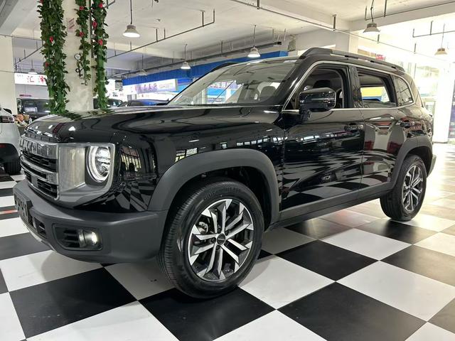 Havoc Big Dog 2024 1.5T 2WD Border Ranch Edition