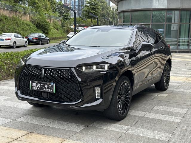 Wei brand P8 2018 2.0T flagship model
