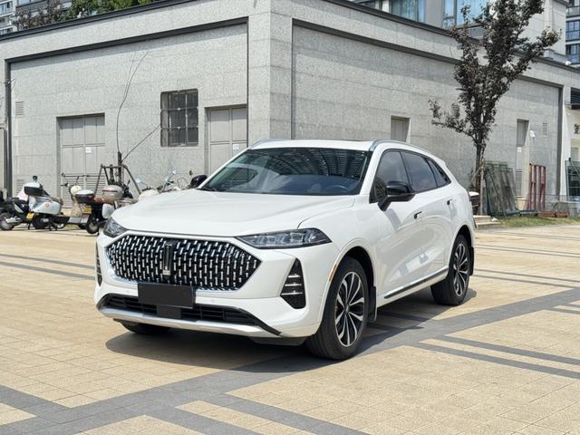 Mocha 2021 2.0T two-wheel drive special alcohol version