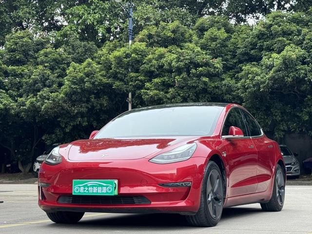 Model 3 (Import) 2019 Long Range Rear Drive Edition