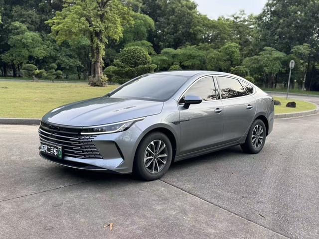 Destroyer 05 2024 Glory Edition DM-i 55KM Luxury