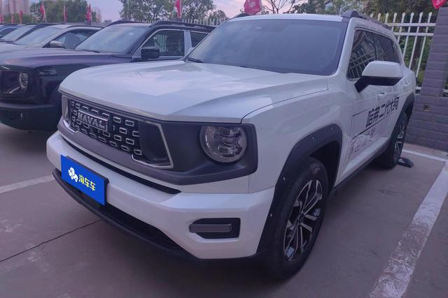 Havoc II Big Dog 2023 2.0T 2WD Tide Wild Plus