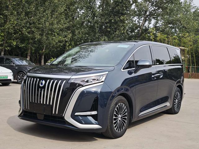 Tengsten D9 EV 2022 600 4WD Flagship