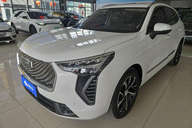 Harvard First Love 2021 1.5T Auto Big 4 Edition