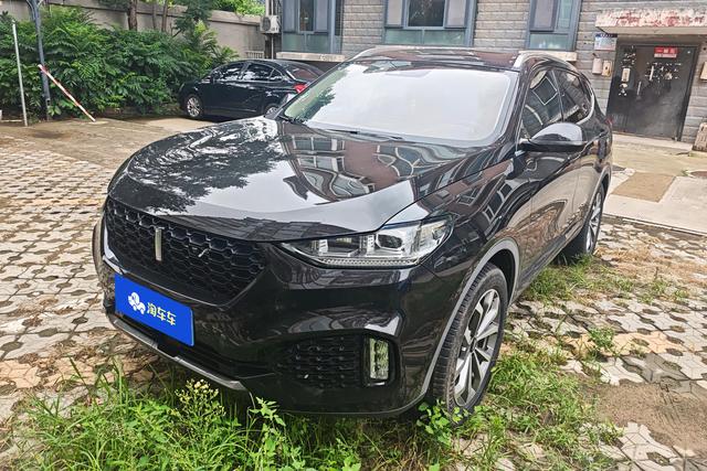 Wei brand VV6 2019 2.0T two-wheel drive super luxury country VI