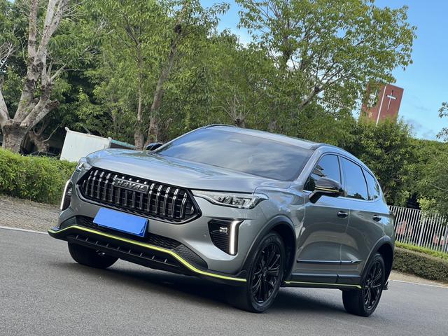 Havalanche 2021 Excite Edition 1.5T Golden Rabbit