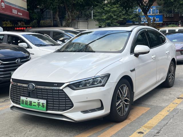 Qin Pro EV 2018 EV500 Zhilian Lingyao Type