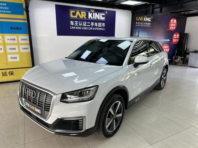 Audi Q2L e-tron 2019 Pure Electric Intelligent Cooler