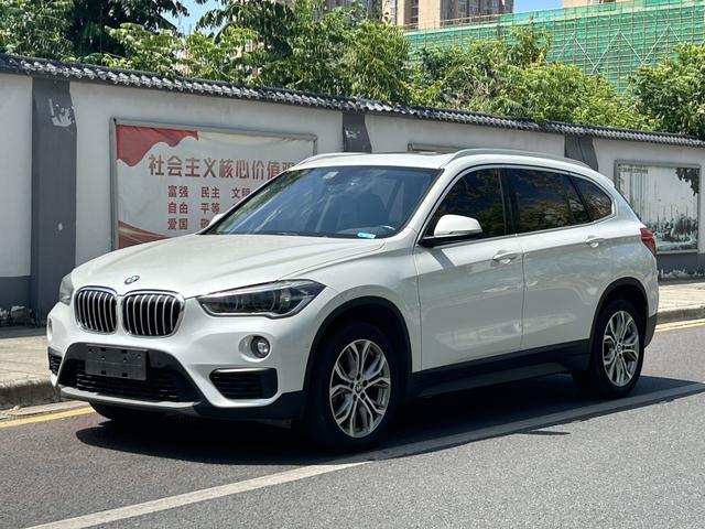 BMW X1 2019 sDrive20Li Leader